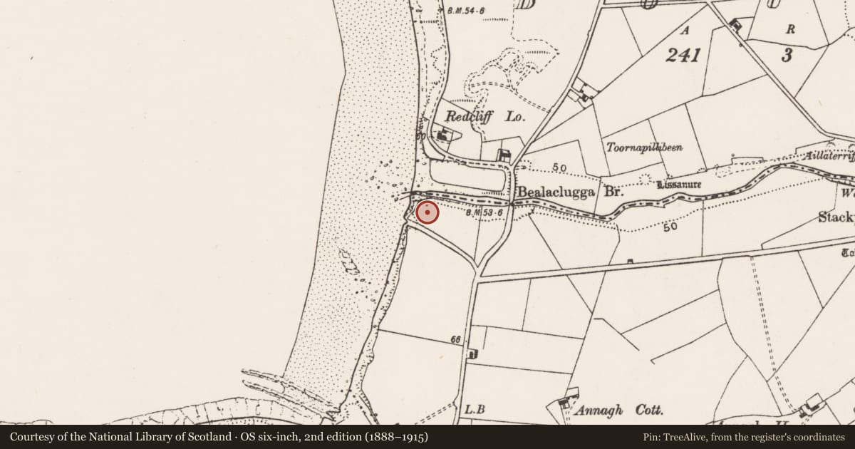 Ordnance Survey six-inch map, 2nd edition (1888–1915) covering the location of Barrow - ring-barrow, Annagh, County Clare, with a pin at the register's coordinates