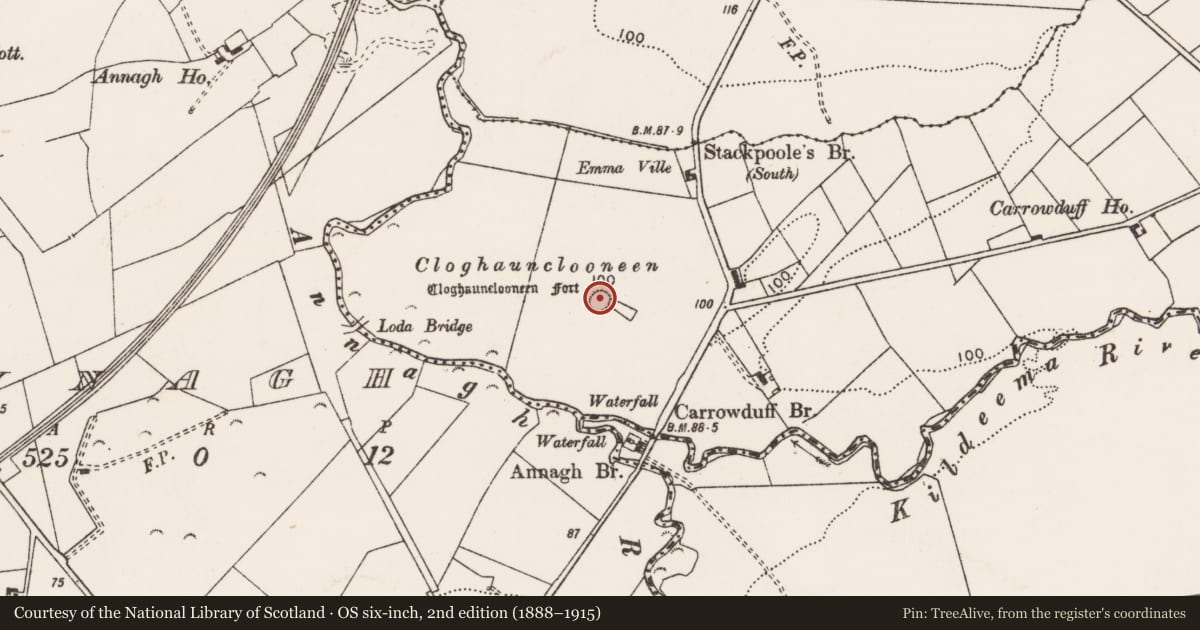 Ordnance Survey six-inch map, 2nd edition (1888–1915) covering the location of Ringfort - rath, Carrowduff, County Clare, with a pin at the register's coordinates