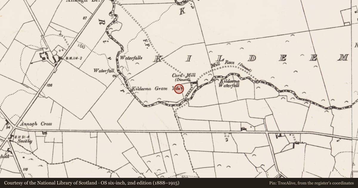 Ordnance Survey six-inch map, 2nd edition (1888–1915) covering the location of Graveyard, Kildeema South, County Clare, with a pin at the register's coordinates