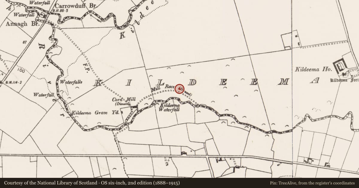 Ordnance Survey six-inch map, 2nd edition (1888–1915) covering the location of Ringfort - rath, Kildeema South, County Clare, with a pin at the register's coordinates
