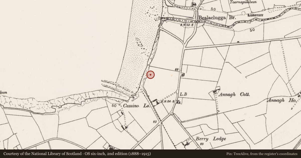 Ordnance Survey six-inch map, 2nd edition (1888–1915) covering the location of Barrow - ring-barrow, Annagh, County Clare, with a pin at the register's coordinates