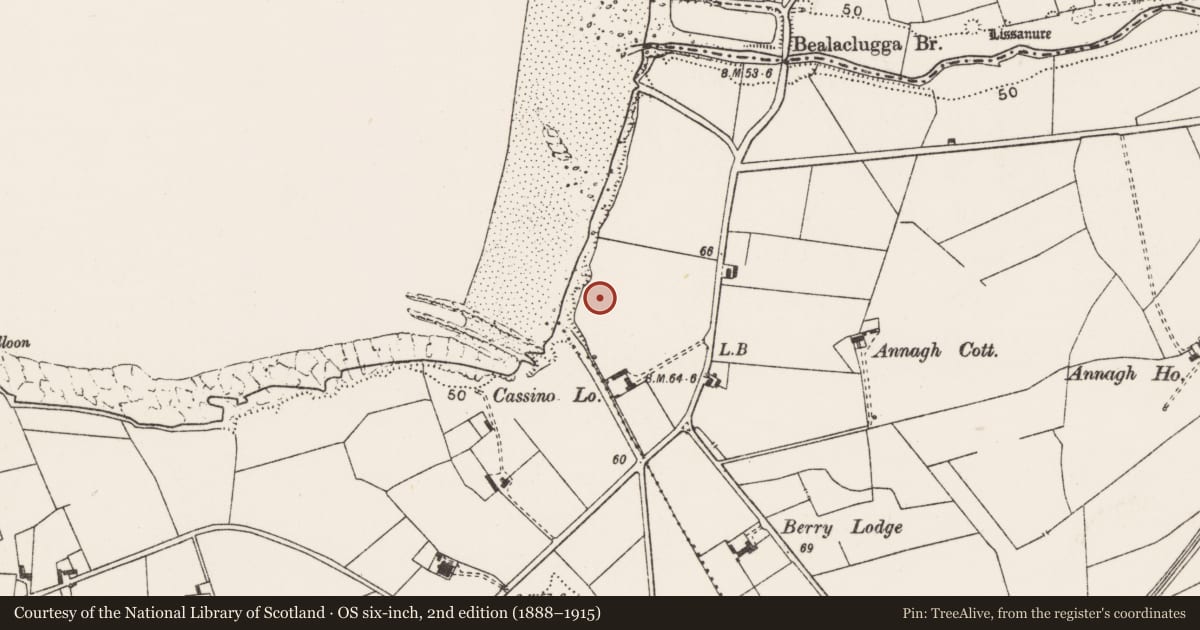 Ordnance Survey six-inch map, 2nd edition (1888–1915) covering the location of Mound, Annagh, County Clare, with a pin at the register's coordinates