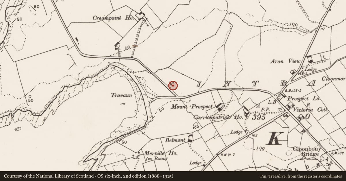 Ordnance Survey six-inch map, 2nd edition (1888–1915) covering the location of Ringfort - rath, Fintra More, County Clare, with a pin at the register's coordinates