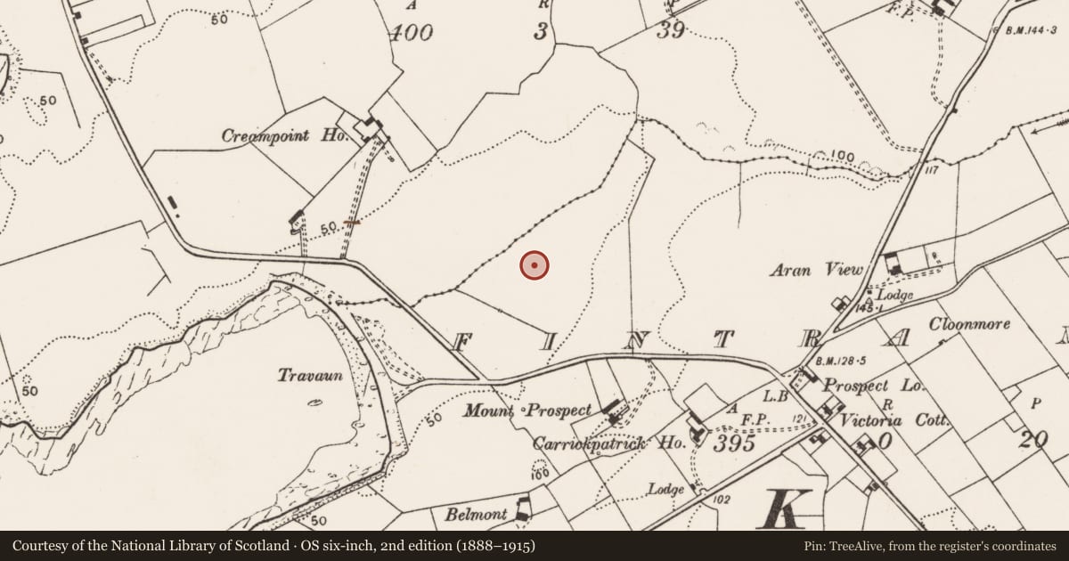 Ordnance Survey six-inch map, 2nd edition (1888–1915) covering the location of Enclosure, Fintra More, County Clare, with a pin at the register's coordinates