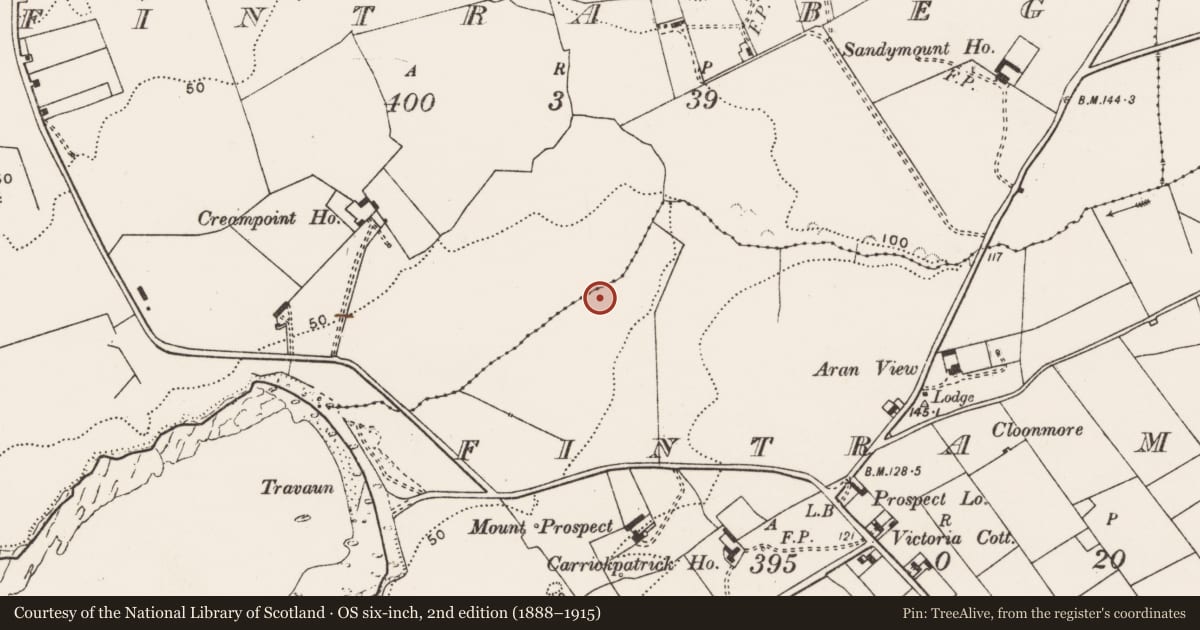 Ordnance Survey six-inch map, 2nd edition (1888–1915) covering the location of Ringfort - rath, Fintra More, County Clare, with a pin at the register's coordinates