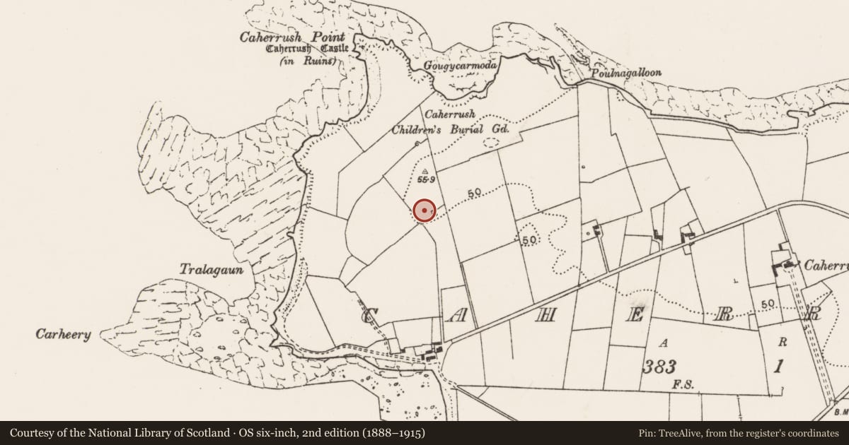 Ordnance Survey six-inch map, 2nd edition (1888–1915) covering the location of Ringfort - cashel, Caherrush, County Clare, with a pin at the register's coordinates