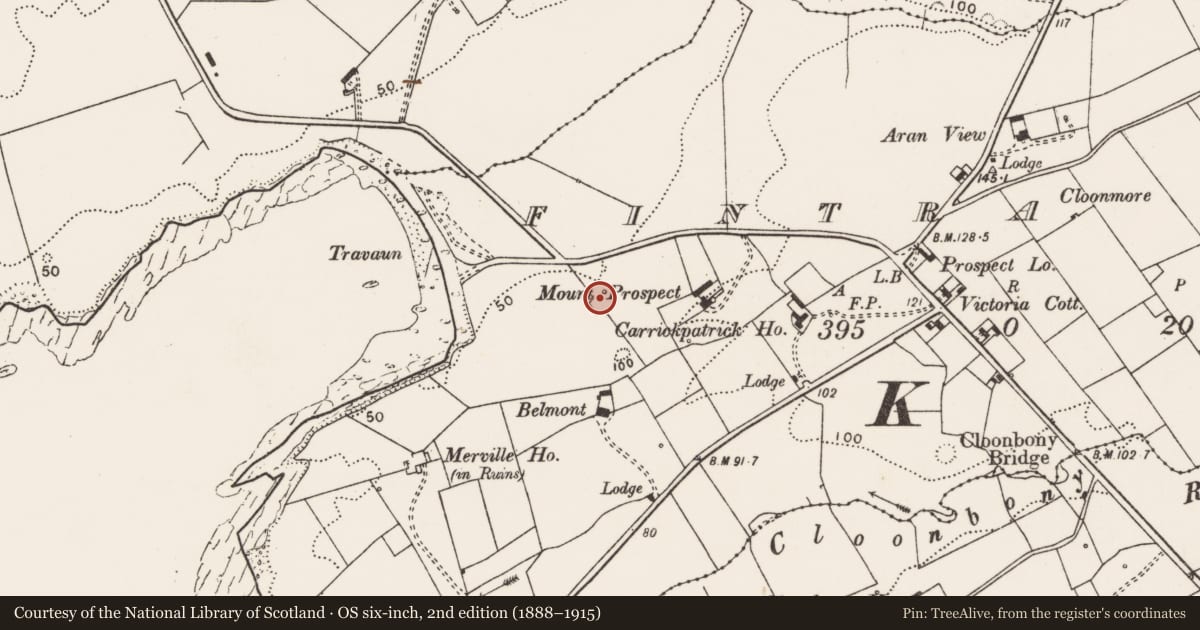 Ordnance Survey six-inch map, 2nd edition (1888–1915) covering the location of Ringfort - rath, Fintra More, County Clare, with a pin at the register's coordinates