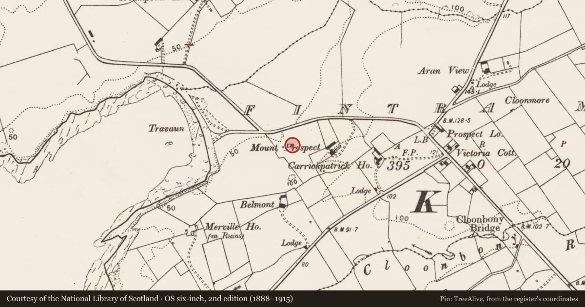 Ordnance Survey six-inch map, 2nd edition (1888–1915) covering the location of Barrow - ring-barrow, Fintra More, County Clare, with a pin at the register's coordinates