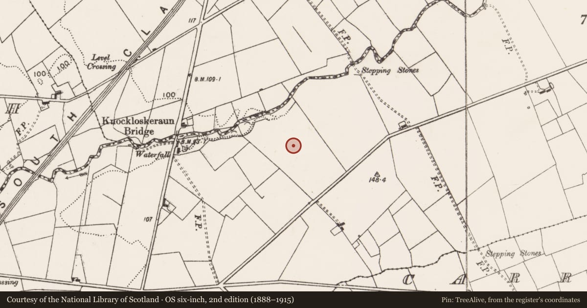 Ordnance Survey six-inch map, 2nd edition (1888–1915) covering the location of Standing stone, Knockloskeraun, County Clare, with a pin at the register's coordinates