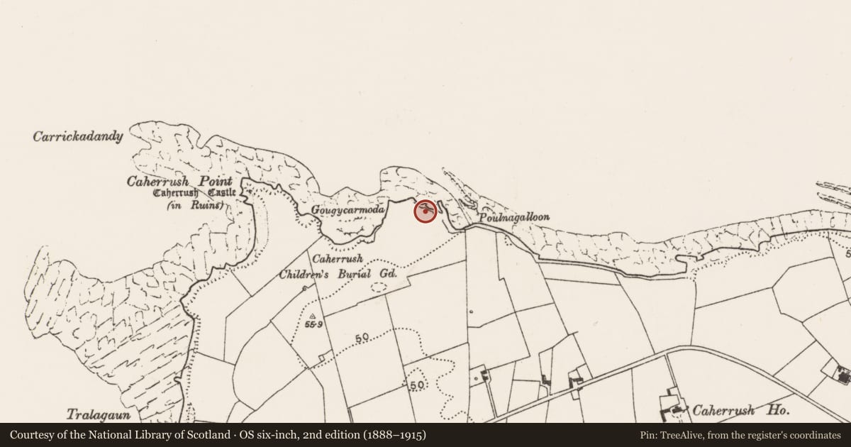 Ordnance Survey six-inch map, 2nd edition (1888–1915) covering the location of Cliff-edge fort, Caherrush, County Clare, with a pin at the register's coordinates