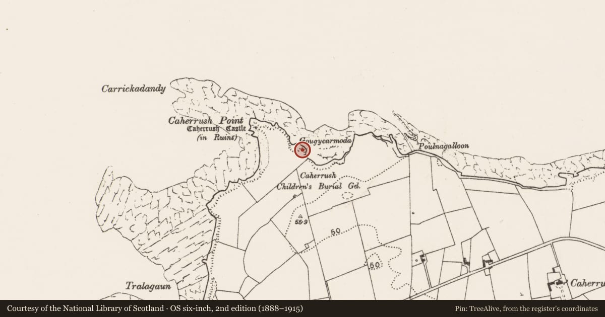 Ordnance Survey six-inch map, 2nd edition (1888–1915) covering the location of Promontory fort - coastal, Caherrush, County Clare, with a pin at the register's coordinates