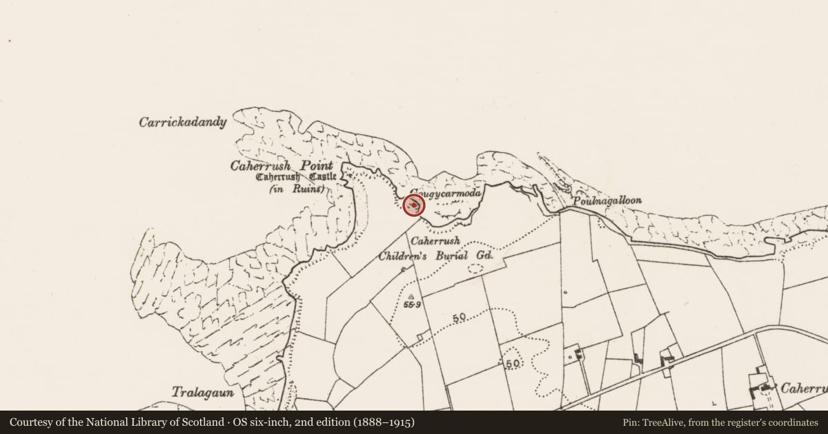 Ordnance Survey six-inch map, 2nd edition (1888–1915) covering the location of Hut site, Caherrush, County Clare, with a pin at the register's coordinates
