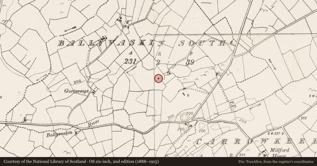 Ordnance Survey six-inch map, 2nd edition (1888–1915) covering the location of Ringfort - rath, Ballyvaskin South, County Clare, with a pin at the register's coordinates