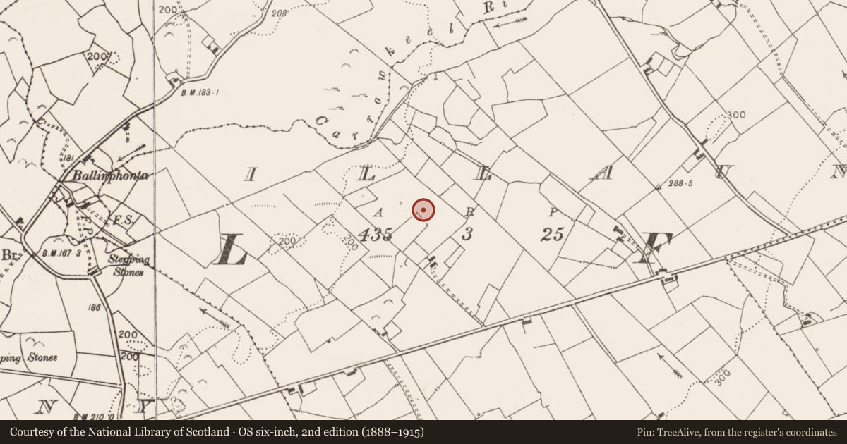Ordnance Survey six-inch map, 2nd edition (1888–1915) covering the location of Ringfort - rath, Illaun, County Clare, with a pin at the register's coordinates