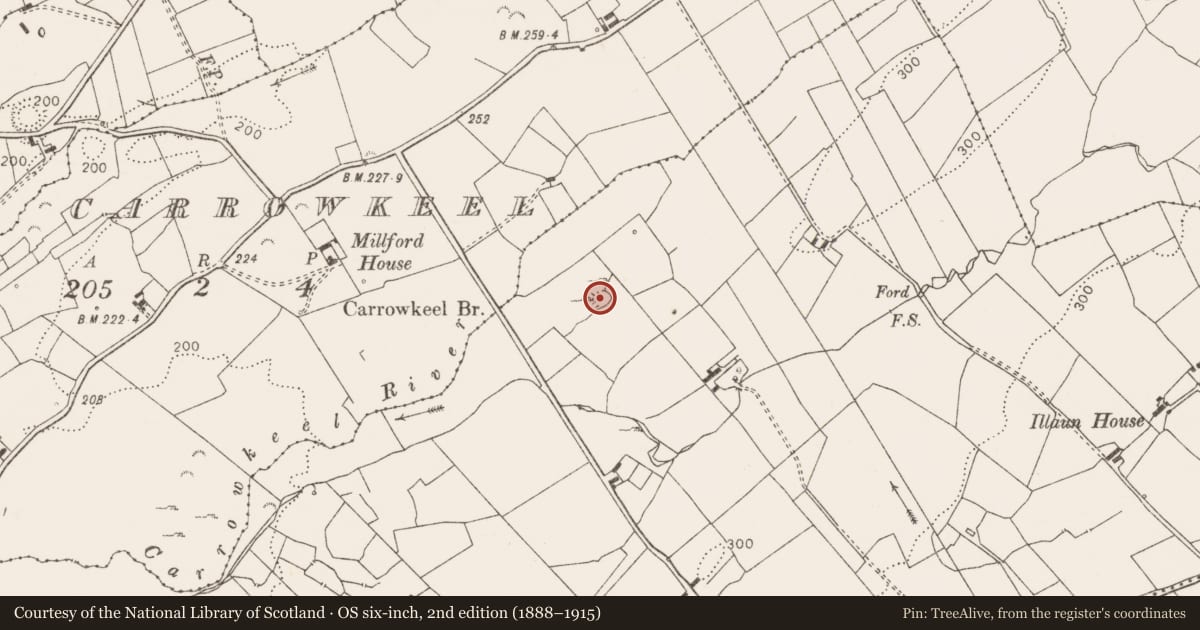 Ordnance Survey six-inch map, 2nd edition (1888–1915) covering the location of Ringfort - cashel, Illaun, County Clare, with a pin at the register's coordinates