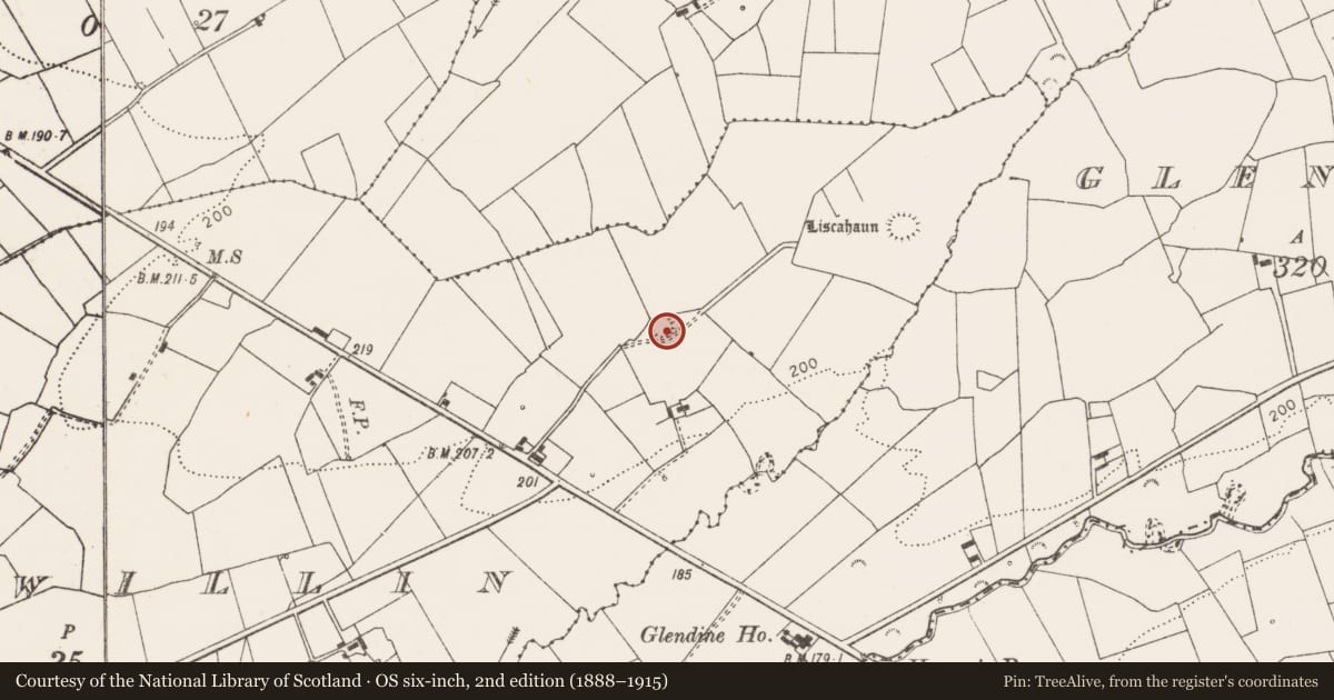 Ordnance Survey six-inch map, 2nd edition (1888–1915) covering the location of Hut site, Poulawillin, County Clare, with a pin at the register's coordinates