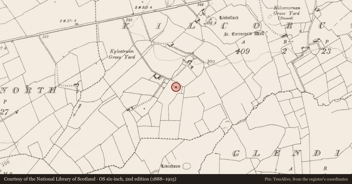 Ordnance Survey six-inch map, 2nd edition (1888–1915) covering the location of Ringfort - rath, Kilcorcoran, County Clare, with a pin at the register's coordinates