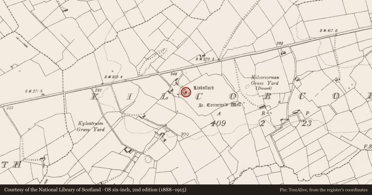 Ordnance Survey six-inch map, 2nd edition (1888–1915) covering the location of Ringfort - unclassified, Kilcorcoran, County Clare, with a pin at the register's coordinates