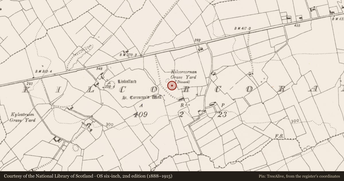 Ordnance Survey six-inch map, 2nd edition (1888–1915) covering the location of Enclosure, Kilcorcoran, County Clare, with a pin at the register's coordinates