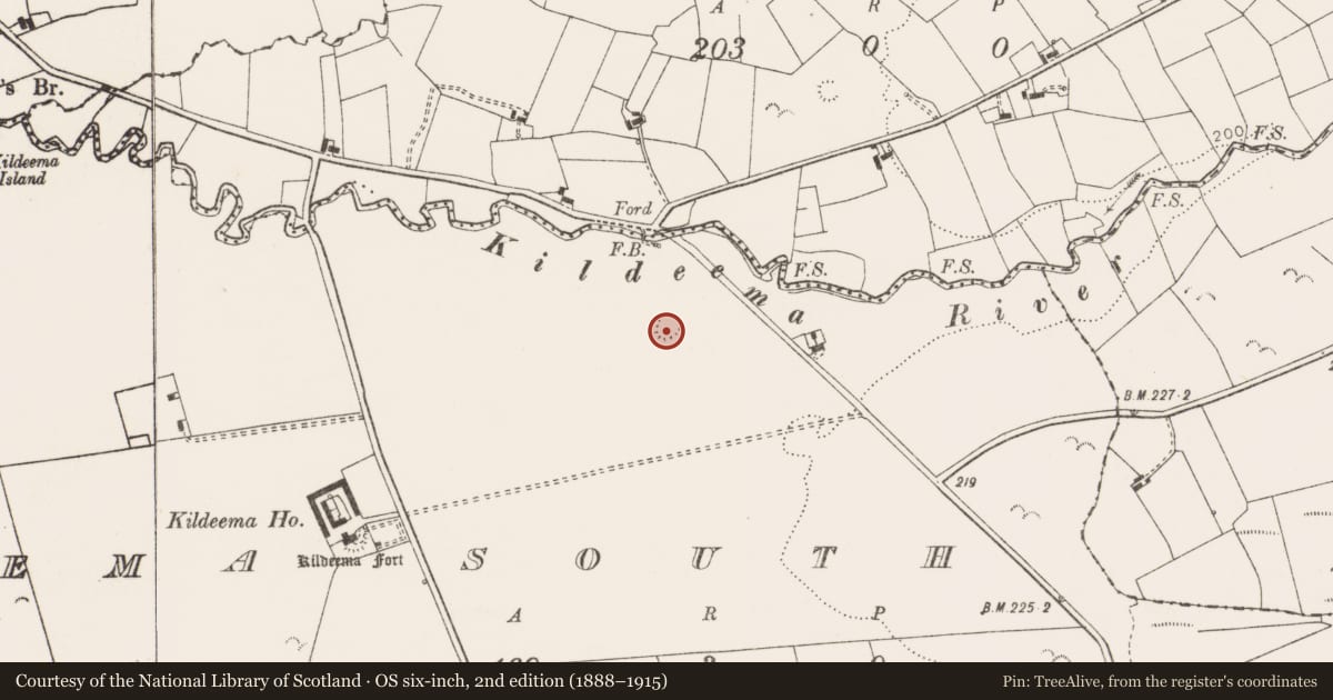 Ordnance Survey six-inch map, 2nd edition (1888–1915) covering the location of Ringfort - rath, Kildeema South, County Clare, with a pin at the register's coordinates
