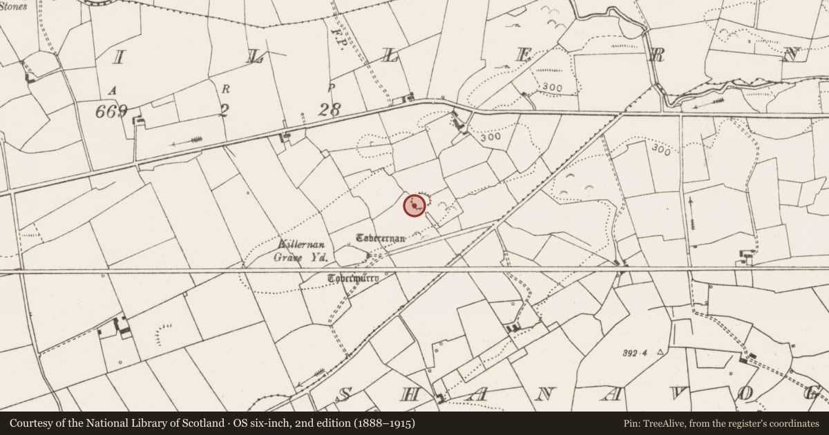 Ordnance Survey six-inch map, 2nd edition (1888–1915) covering the location of Ringfort - rath, Killernan, County Clare, with a pin at the register's coordinates