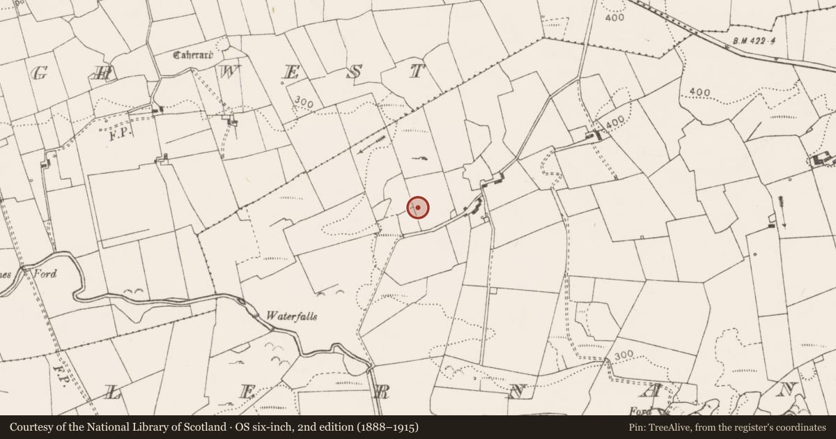 Ordnance Survey six-inch map, 2nd edition (1888–1915) covering the location of Hut site, Killernan, County Clare, with a pin at the register's coordinates