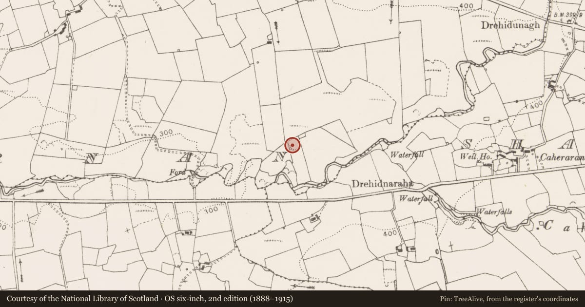 Ordnance Survey six-inch map, 2nd edition (1888–1915) covering the location of Ringfort - rath, Killernan, County Clare, with a pin at the register's coordinates