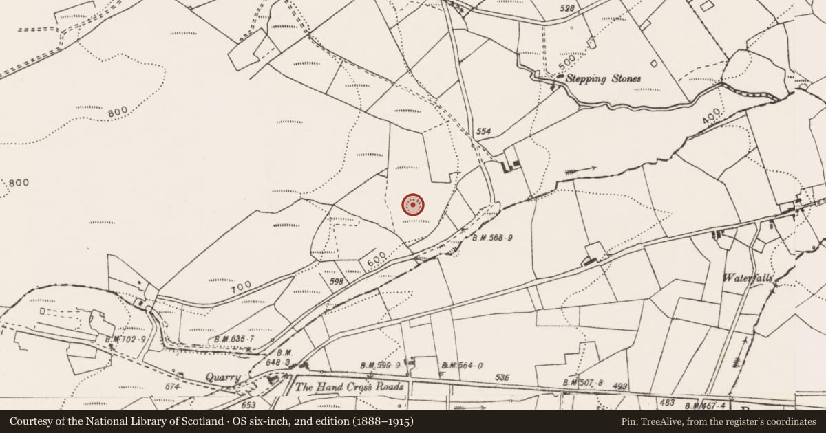 Ordnance Survey six-inch map, 2nd edition (1888–1915) covering the location of Ringfort - rath, Knockalassa, County Clare, with a pin at the register's coordinates