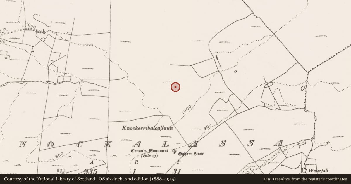 Ordnance Survey six-inch map, 2nd edition (1888–1915) covering the location of Megalithic tomb - unclassified, Knockalassa, County Clare, with a pin at the register's coordinates