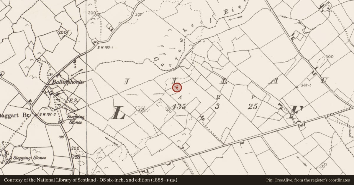 Ordnance Survey six-inch map, 2nd edition (1888–1915) covering the location of Enclosure, Illaun, County Clare, with a pin at the register's coordinates