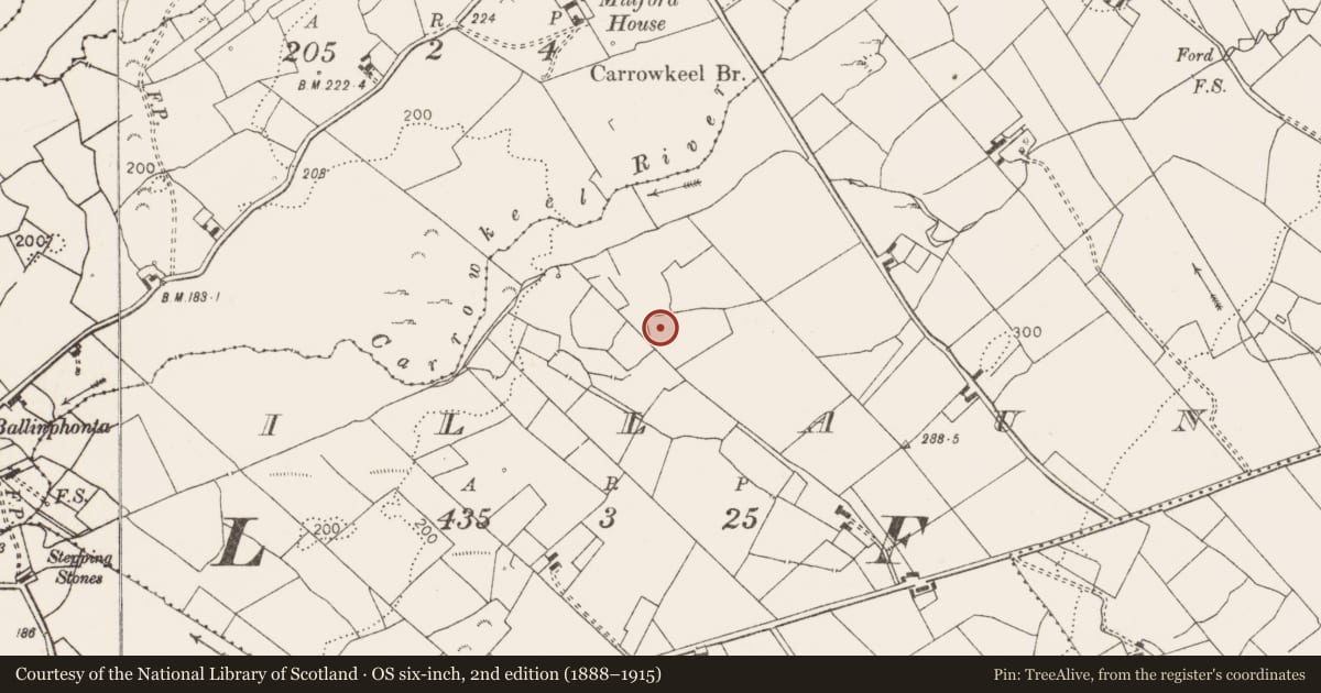 Ordnance Survey six-inch map, 2nd edition (1888–1915) covering the location of Ringfort - rath, Illaun, County Clare, with a pin at the register's coordinates