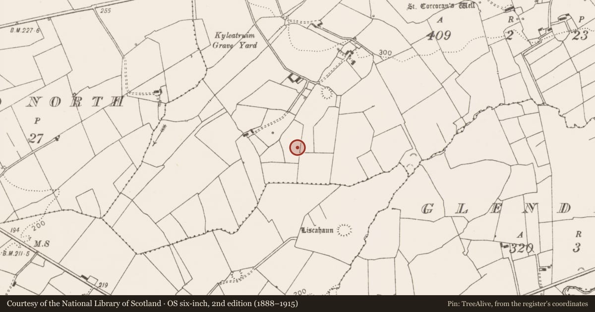 Ordnance Survey six-inch map, 2nd edition (1888–1915) covering the location of Barrow - ditch barrow, Kilcorcoran, County Clare, with a pin at the register's coordinates