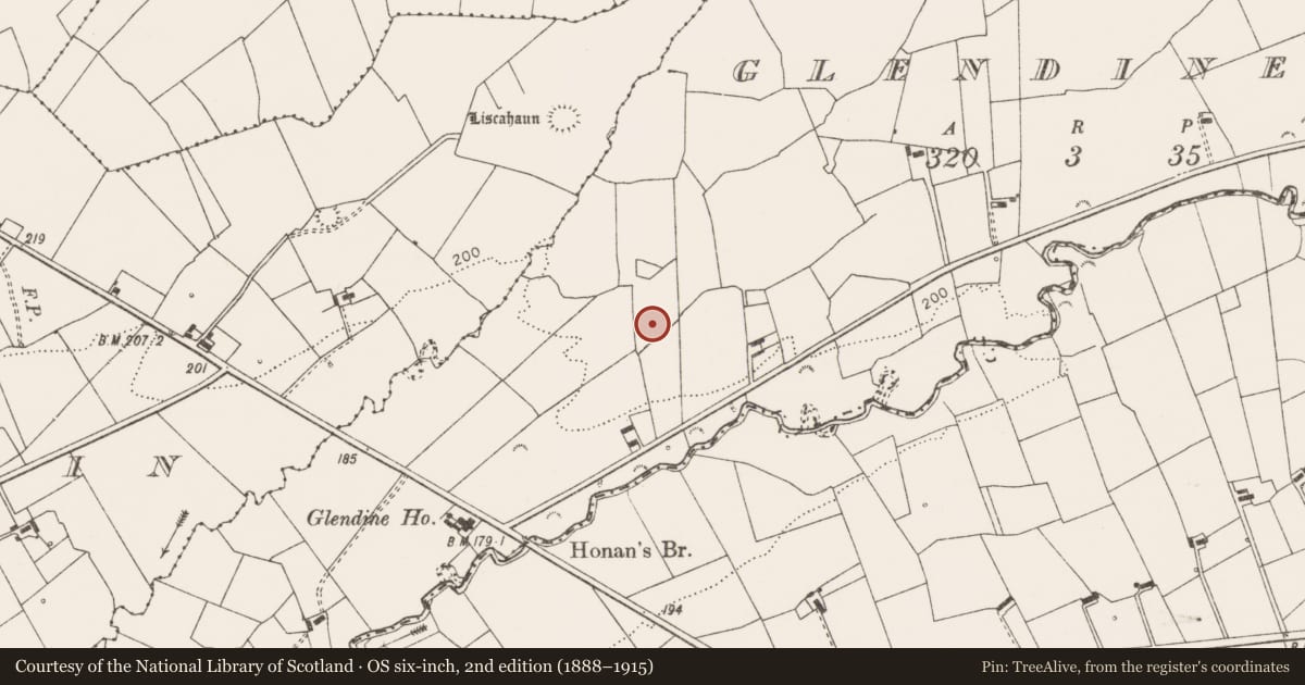 Ordnance Survey six-inch map, 2nd edition (1888–1915) covering the location of Ringfort - rath, Glendine South, County Clare, with a pin at the register's coordinates