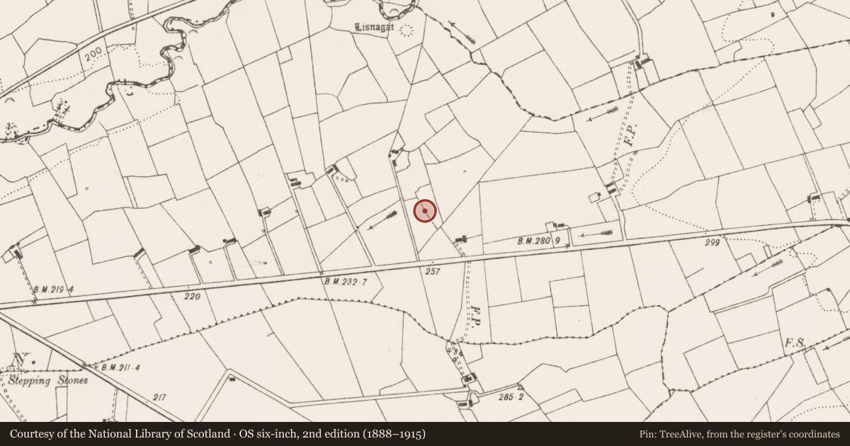 Ordnance Survey six-inch map, 2nd edition (1888–1915) covering the location of Ringfort - rath, Knockloskeraun, County Clare, with a pin at the register's coordinates