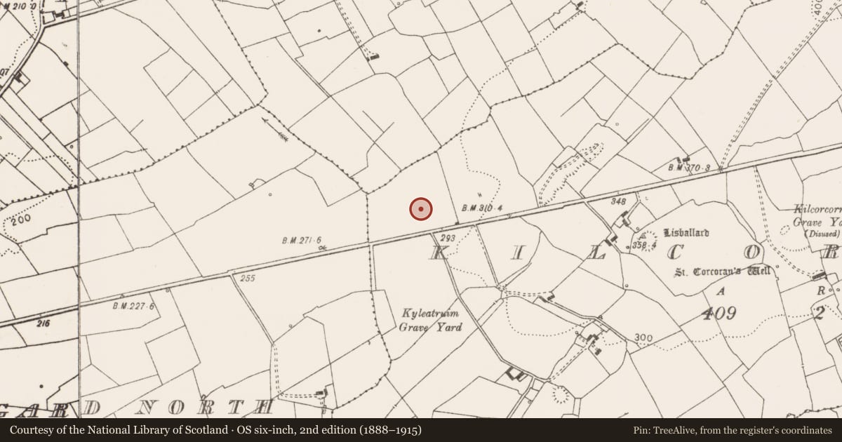 Ordnance Survey six-inch map, 2nd edition (1888–1915) covering the location of Standing stone, Kilcorcoran, County Clare, with a pin at the register's coordinates
