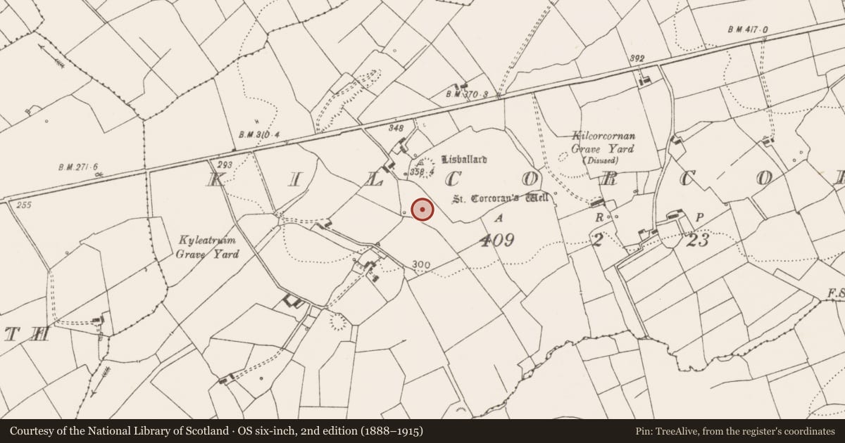Ordnance Survey six-inch map, 2nd edition (1888–1915) covering the location of Standing stone, Kilcorcoran, County Clare, with a pin at the register's coordinates