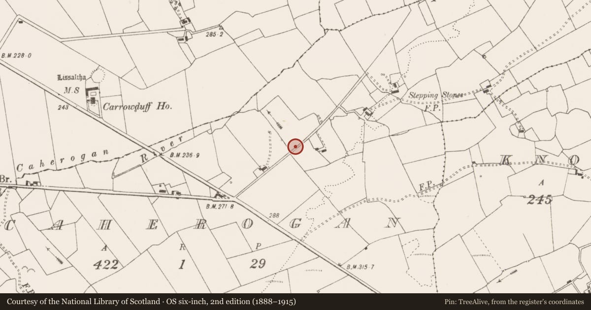 Ordnance Survey six-inch map, 2nd edition (1888–1915) covering the location of Quarry, Caherogan, County Clare, with a pin at the register's coordinates