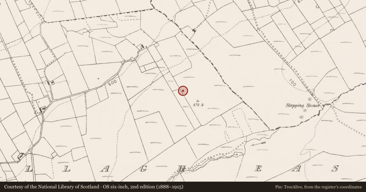 Ordnance Survey six-inch map, 2nd edition (1888–1915) covering the location of Standing stone, Doonsallagh East, County Clare, with a pin at the register's coordinates