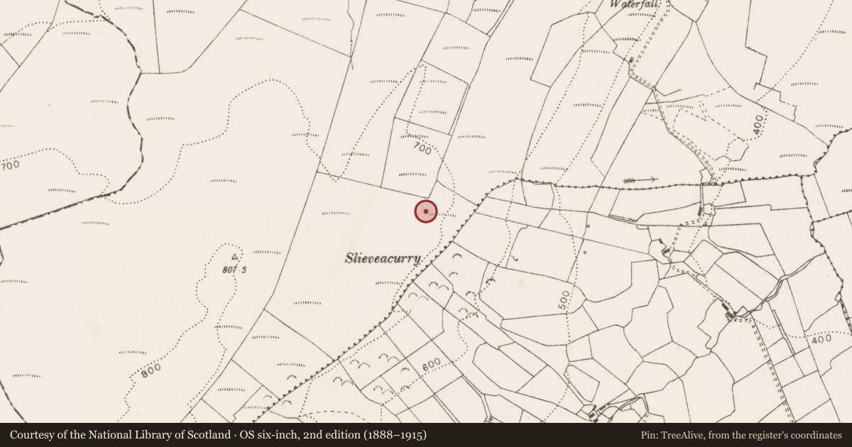 Ordnance Survey six-inch map, 2nd edition (1888–1915) covering the location of Stone circle - multiple-stone, Curraghodea, County Clare, with a pin at the register's coordinates