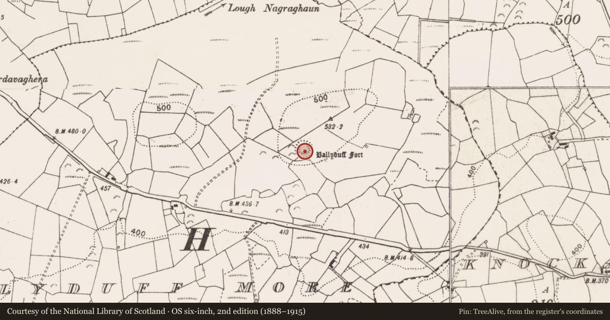 Ordnance Survey six-inch map, 2nd edition (1888–1915) covering the location of Ringfort - rath, Ballyduff More, County Clare, with a pin at the register's coordinates