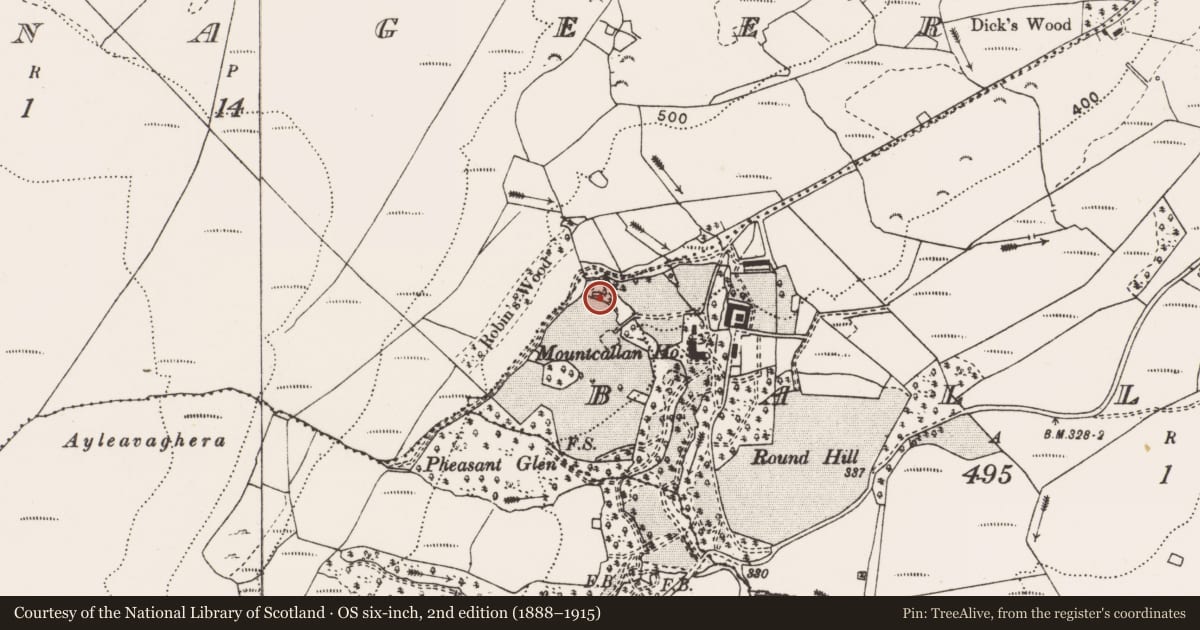 Ordnance Survey six-inch map, 2nd edition (1888–1915) covering the location of Church, Ballynoe, County Clare, with a pin at the register's coordinates