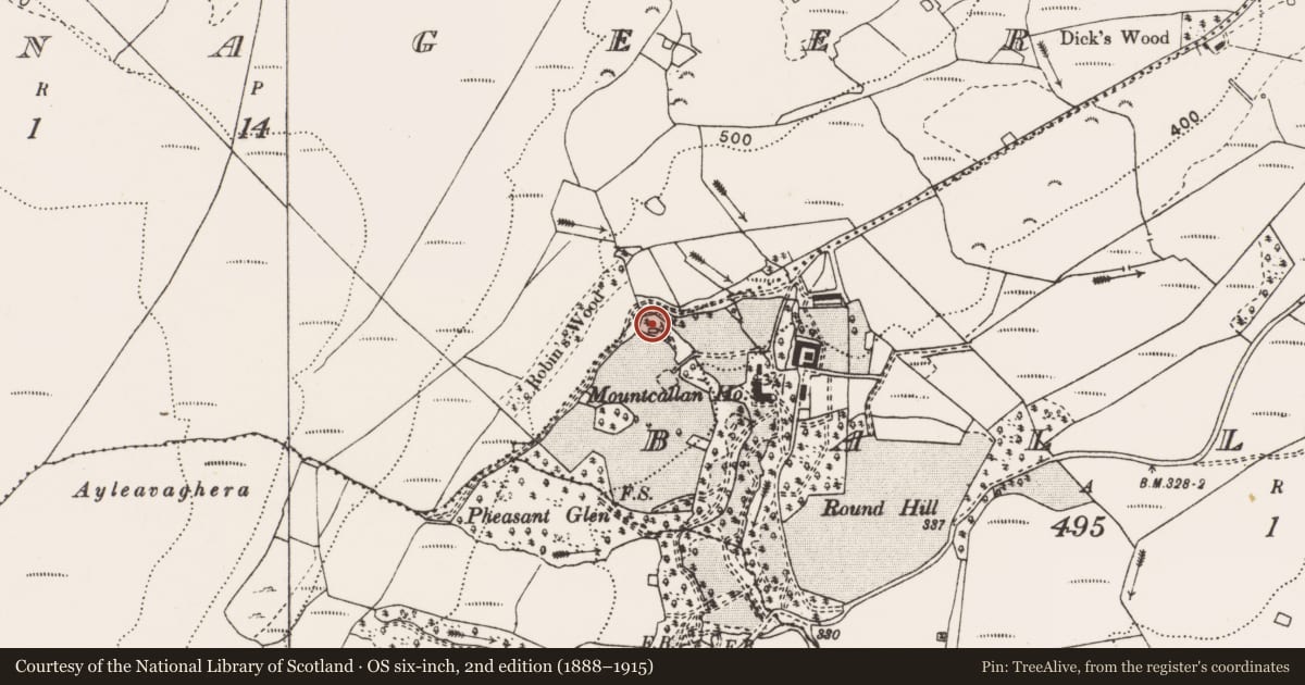 Ordnance Survey six-inch map, 2nd edition (1888–1915) covering the location of Children's burial ground, Ballynoe, County Clare, with a pin at the register's coordinates
