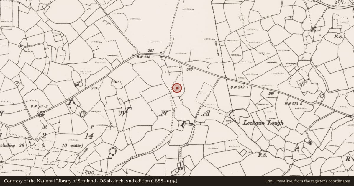 Ordnance Survey six-inch map, 2nd edition (1888–1915) covering the location of Ringfort - rath, Cloongowna, County Clare, with a pin at the register's coordinates