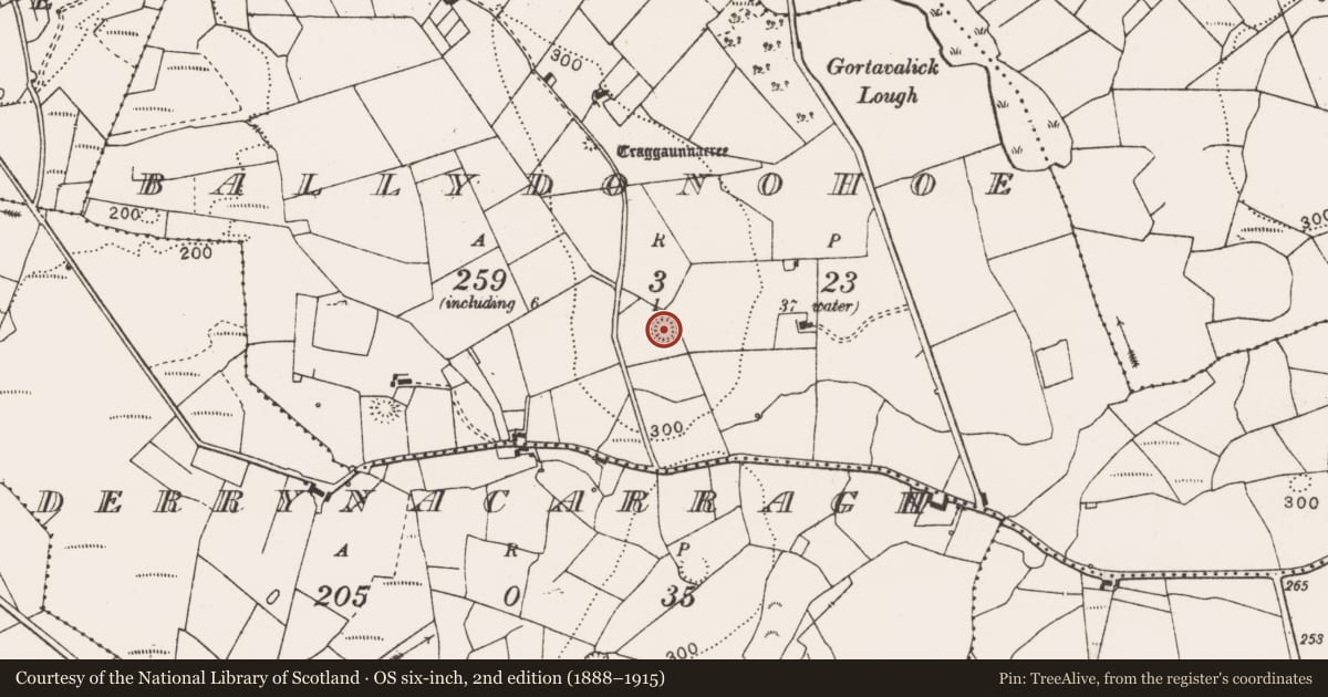 Ordnance Survey six-inch map, 2nd edition (1888–1915) covering the location of Ringfort - rath, Ballydonohoe, County Clare, with a pin at the register's coordinates