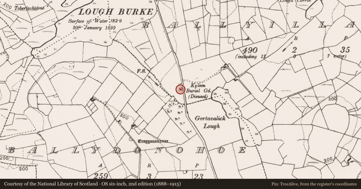 Ordnance Survey six-inch map, 2nd edition (1888–1915) covering the location of Children's burial ground, Ballyillaun, County Clare, with a pin at the register's coordinates