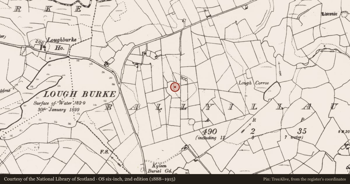Ordnance Survey six-inch map, 2nd edition (1888–1915) covering the location of Enclosure, Ballyillaun, County Clare, with a pin at the register's coordinates
