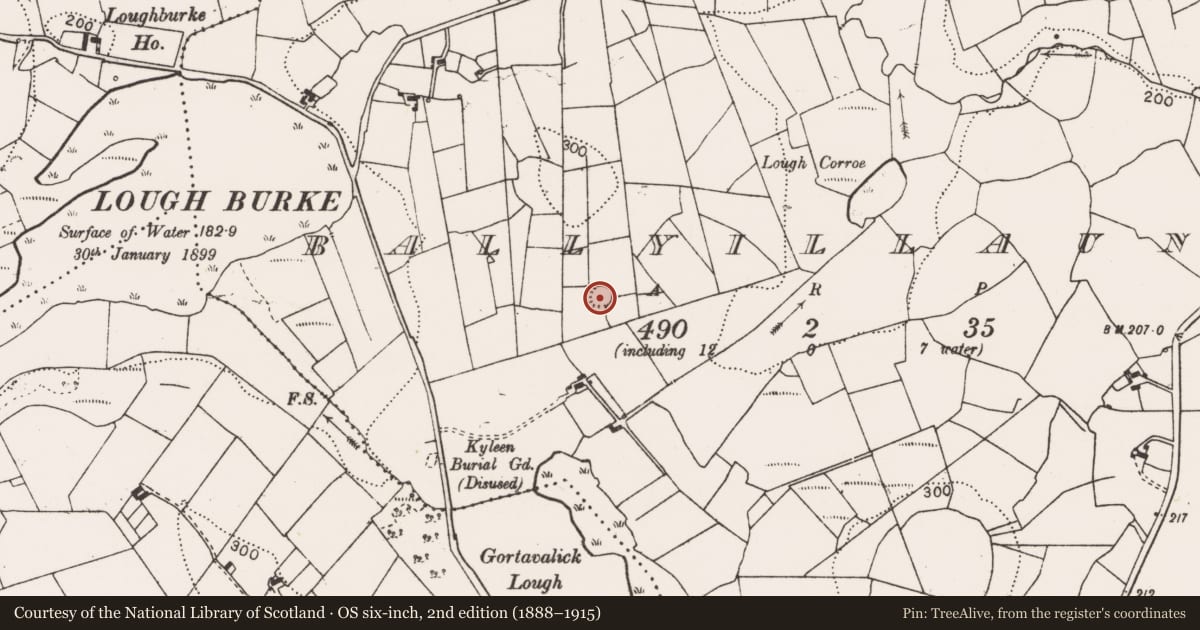 Ordnance Survey six-inch map, 2nd edition (1888–1915) covering the location of Enclosure, Ballyillaun, County Clare, with a pin at the register's coordinates