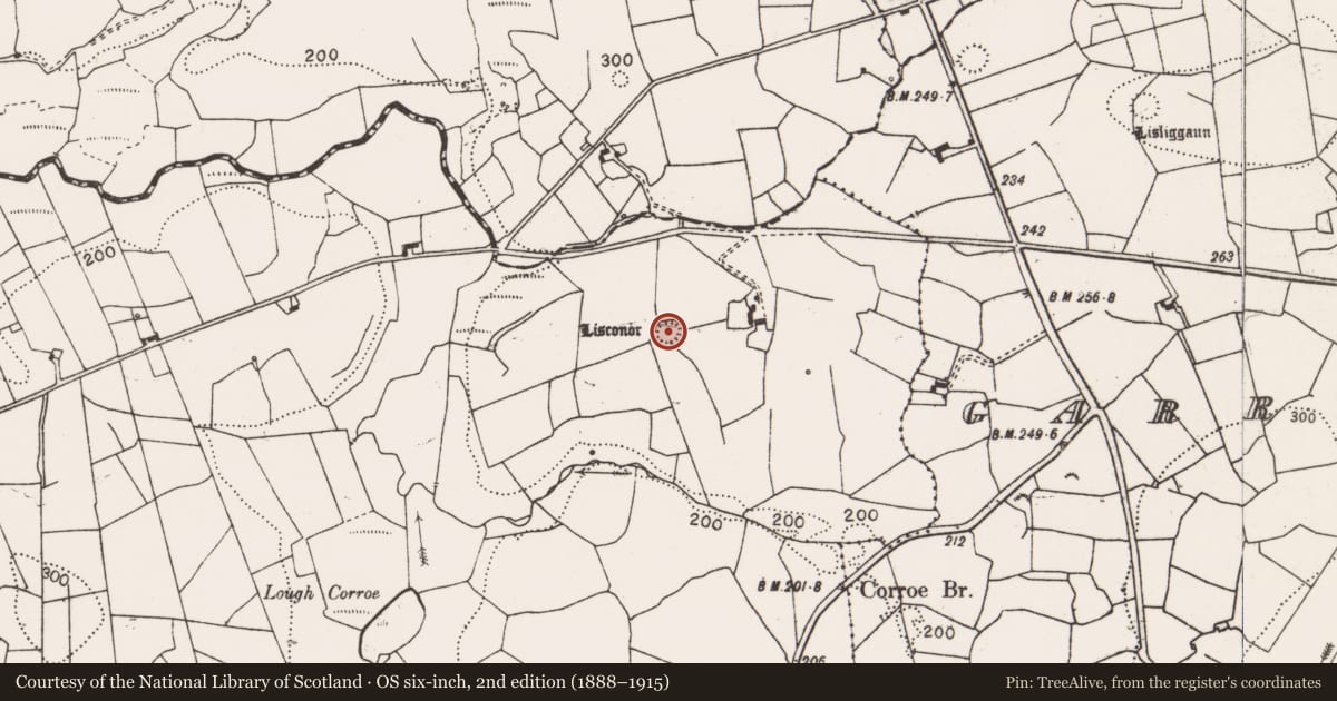 Ordnance Survey six-inch map, 2nd edition (1888–1915) covering the location of Ringfort - rath, Ballyillaun, County Clare, with a pin at the register's coordinates