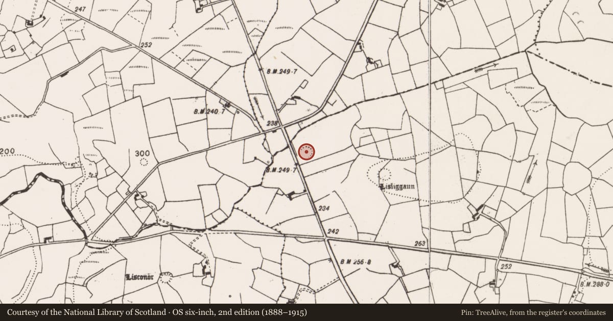 Ordnance Survey six-inch map, 2nd edition (1888–1915) covering the location of Ringfort - rath, Garrynagry, County Clare, with a pin at the register's coordinates