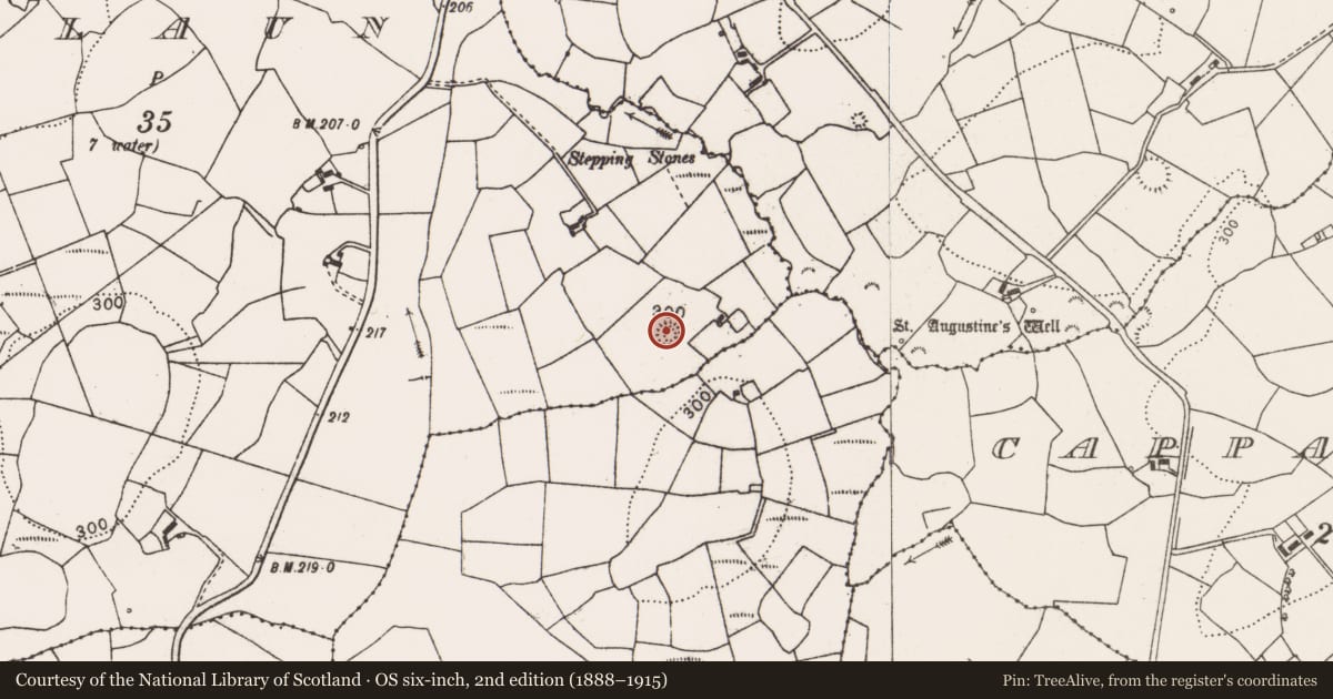 Ordnance Survey six-inch map, 2nd edition (1888–1915) covering the location of Ringfort - rath, Ballyillaun, County Clare, with a pin at the register's coordinates